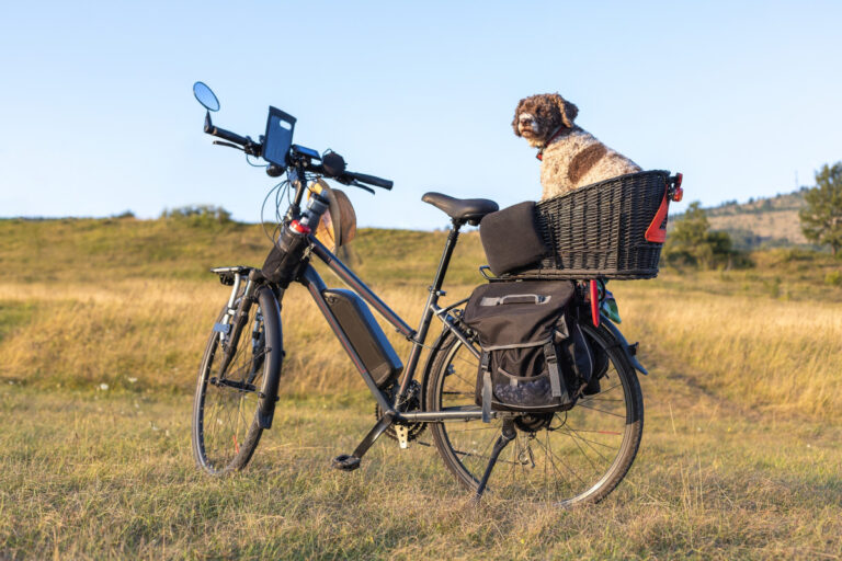 electric bike with a dog in a basket